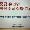 그레이스코퍼레이션 네이버블로그