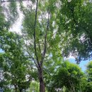 월아산 숲속의 진주(목공체험장) | 진주 월아산 숲속의 진주 목공체험과 숲산책