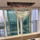 제니스크리닝 이미지