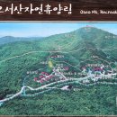 대천해수욕장 야영장 이미지