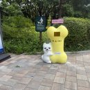 서초구청 이미지