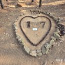 경포주유소 이미지