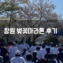 제1회 창원 벚꽃마라톤 후기 예상하지 못했던 업힐과 짧았던 코스 아쉬웠던 점과 총평