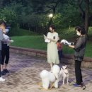 와룡아랫공원 이미지