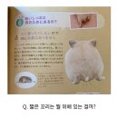 택스처