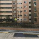 진관2로 이미지