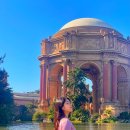 겨울바다 호스텔 | 미국 샌프란시스코 혼자 여행 3박4일 코스 경비 치안 11월 12월 날씨 후기