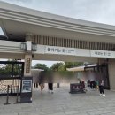 경주문화재해설 | 경주 2박3일 가족여행 Day 2-2. 국립경주박물관(입장료, 운영시간, 주차비 등 안내)