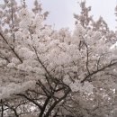 대공원입구로 이미지