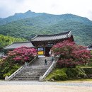 표충사 이미지
