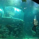 엑스포안경원 이미지