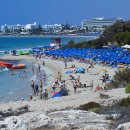 사랑의 다리 이미지