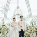 트리폰즈 이미지