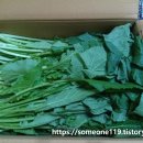 진희농장 이미지