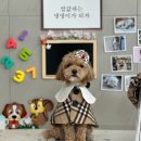 이지유치원 이미지