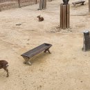 서울숲12 이미지