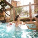 롯데워터파크 이미지