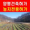 양평 농지전용허가, 처음부터 끝까지 쉽게 정리했습니다!