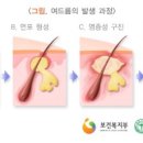 라파에스테틱 - 강서구 | 라파에스테틱