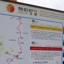 울산)일산해수욕장~주전봉수대~정자항 22km 이미지