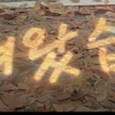 오동동142 이미지