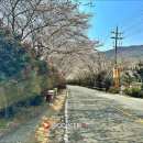 본동문화주유소 이미지