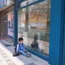 보듬펫살롱 이미지