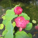 대구동중학교 이미지