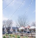 전주그레이스K - 전주시 덕진구 신흥마을길 110-11 | 전주 야외결혼식 | 그레이스K 완주점 계약 후기