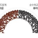 으뜸50안경 안양1번가점 이미지