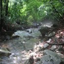 도마치계곡 이미지