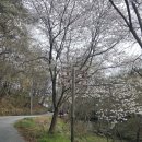 송학동1길 26 전주 앞 | 전주시내산 돌아보기 남고산