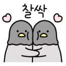 두리하나춘천닭갈비 이미지