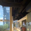 이화아트스테이션발레학원 | 2년째 발린이의 서울탄츠스테이션 초급 수업 체험 후기| 등록 방법,가격,시간표