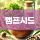 하이드로시드