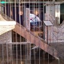 디반식스 이미지