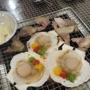 돈먹은 가리비 이미지