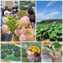 도장골농장 이미지