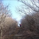 거금도,적대봉(積臺峰,592m) 과 거금도둘레길 정유년 새해산행*2017.1.1.일 이미지