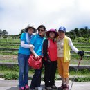 해창목장 이미지