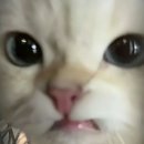 연수로3길 네이버블로그