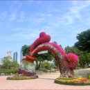 [테마앵콜 2025년11월 15일 토요일][울산 태화강 국가정원축제]대왕암 출렁다리 /대왕암 둘레길 안내 이미지