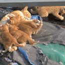 품안농장 이미지