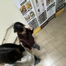 화영언니샵 이미지