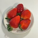 화승마트 | 경동시장 청과물시장 딸기 구입 후기 경동시장 딸기 시세