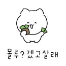 또만나요 또너츠 네이버블로그