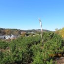 법흥3리 이미지