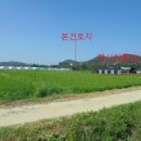정생1리 이미지