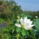 백연농장 이미지