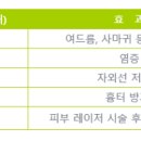 Botem(보탬) 이미지